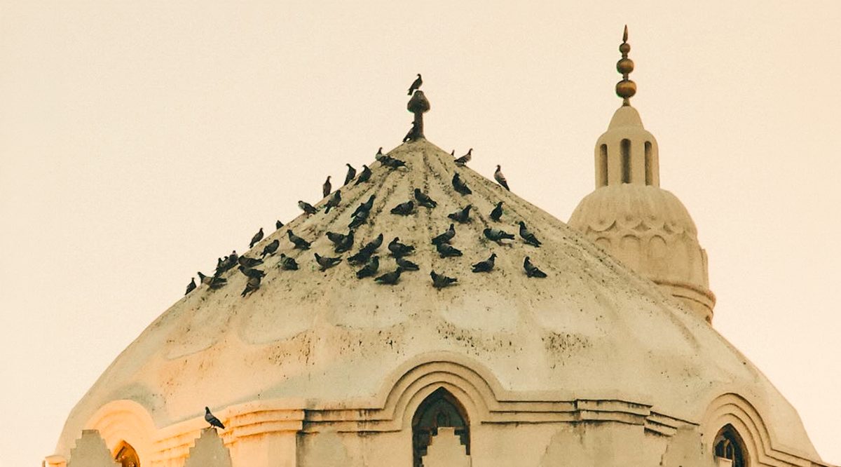 نصائح مهمة للمعتمرين الجدد