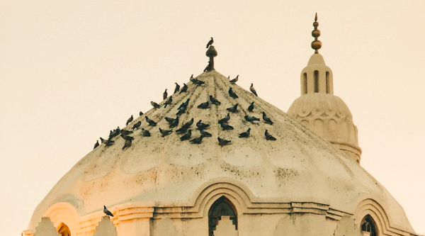 نصائح مهمة للمعتمرين الجدد